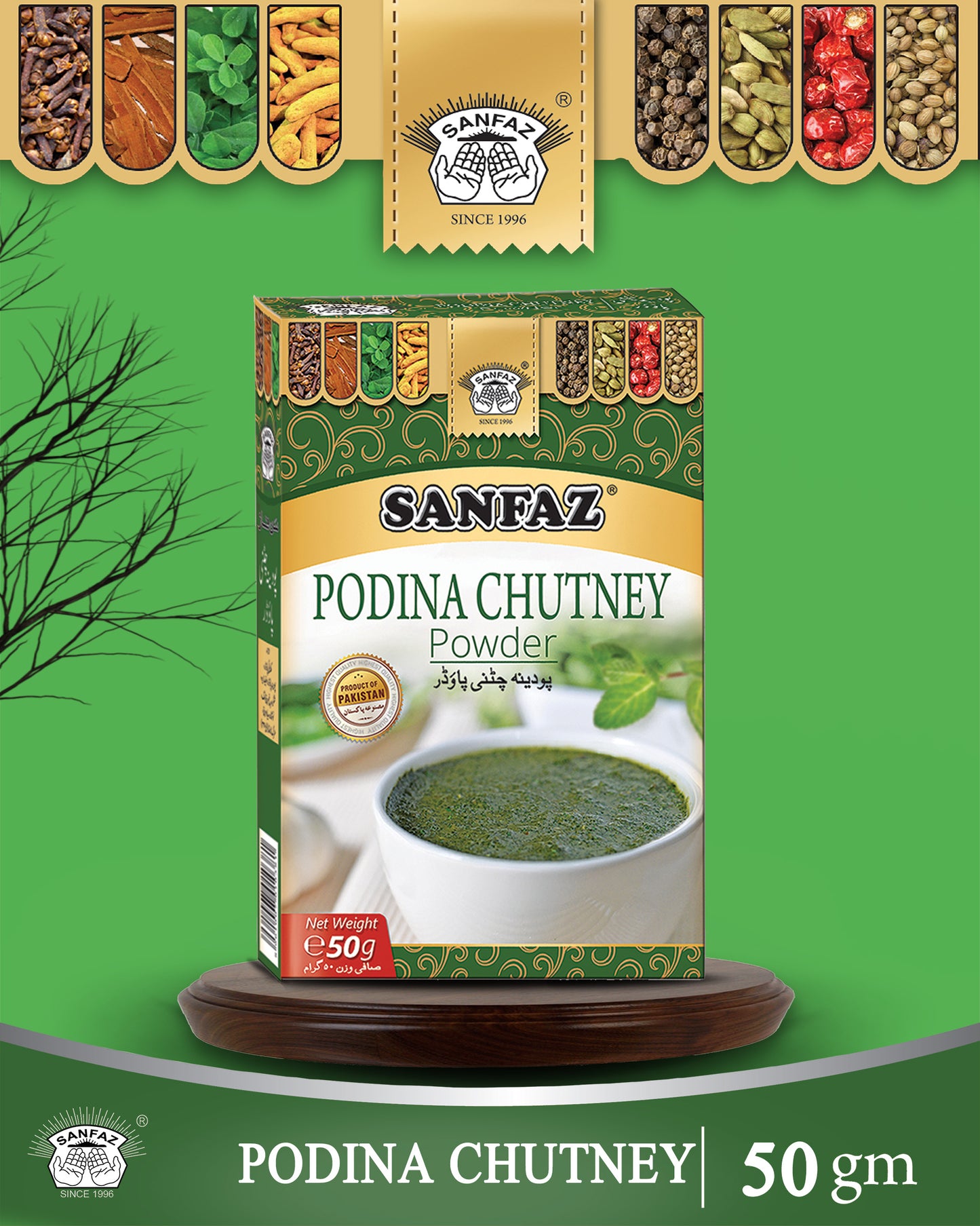 Podina Chutney